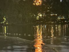 -西湖外事游船(湖滨二公园外事游船码头)