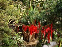 -呀路古热带植物园