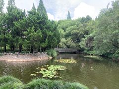-叶家花园
