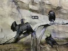 -波塞冬海底世界