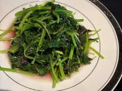 -茶人村·前滩江景雅宴(上海首店)