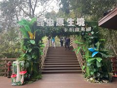 -野象谷景区