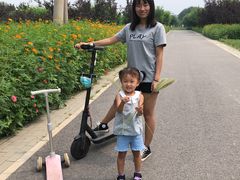 -东郊湿地公园