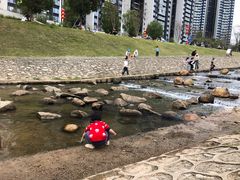 -光明小镇欢乐田园