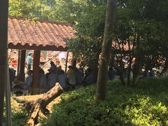 -九曲溪漂流