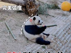 -青藏高原野生动物园