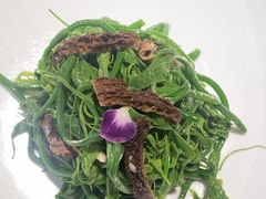 -秀儿四九城·新京菜(亚运村鸟巢店)