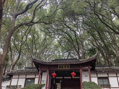 -上海佘山国家森林公园天马山园