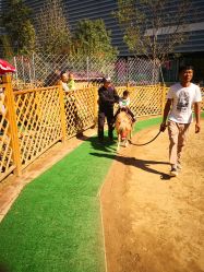 -萌宠亲子动物乐园(槐房万达店)