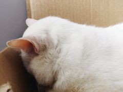 -拜鲁耶动物诊疗中心·宠家动物医院