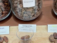 -上海新国际博览中心-P1立体停车场