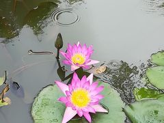-珠海圆明新园