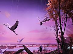 -中国湿地博物馆