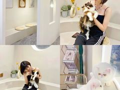 -More Fun猫咖 二十只万元加菲主题