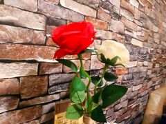 -上岛咖啡(华源四里店)