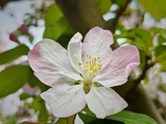 -海棠花溪(元大都城垣遗址公园)