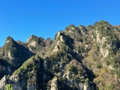 -王顺山国家森林公园
