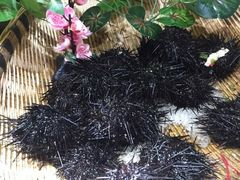 -港畔赶海蒸汽海鲜烧烤自助(仙螺岛店)