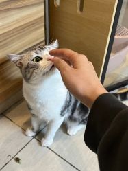 -长沙纹身·龙堂刺青·三土师傅的店