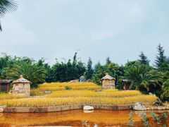 -云南民族村