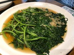 -禾珍珠家常小馆(河南博物院店)