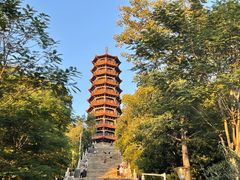 -红花山公园