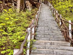 -汤旺河林海奇石景区