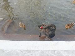 -水磨沟公园