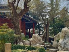 -中国唐苑