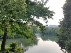 -西溪国家湿地公园