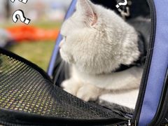 -北京金海湖景区