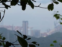 -梧桐山风景名胜区