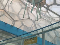 -水立方嬉水乐园