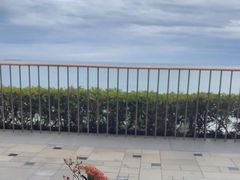 -日落吧·海景咖啡厅·餐酒吧·鸡尾酒·下午茶·乐队表演·浪漫夕阳·三亚文华东方酒店