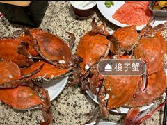 -禾斗海鲜自助(市南银座店)