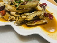 蛏子-华盛丰温州大排档(东三环南路店)