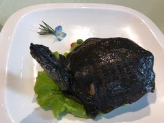 -半岛公馆(淞兴西路店)