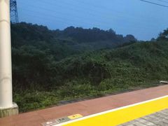 -岳阳东站