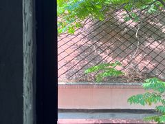 -静安区体育馆