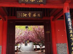 -石岛赤山风景区