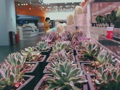 -KKV(深圳宏发大仟里店)