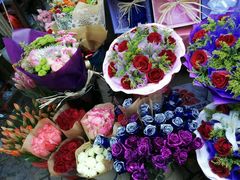 -曲阳花鸟市场(曲阳路店)