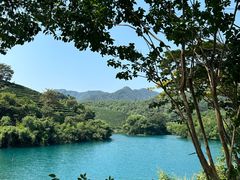-龙坞茶村