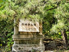 -白水寺森林公园