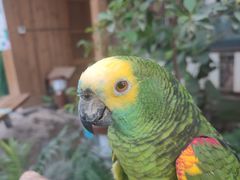 -南宫五洲植物乐园