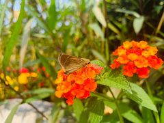 -西湖国宾馆·紫薇厅