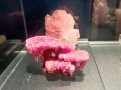 -中国地质博物馆