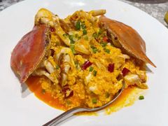 -连鹭海鲜·海肠捞饭·海胆饭(星海店)