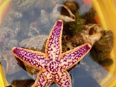 -石岛赤山风景区