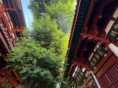 -叩齿古寺